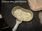 P5120177.jpg