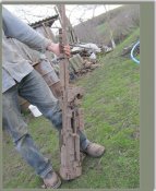 sized_IMG_0171.JPG