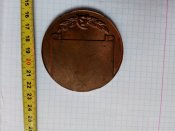 IMG_20180512_094119.jpg