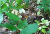 IMG_20180518_170312.jpg