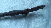 DSC06820.JPG