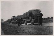 9_italienische-Schlepper-Lkw-SPA-CLF-39.jpg