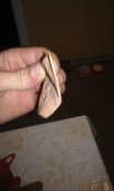 IMAG0177.jpg