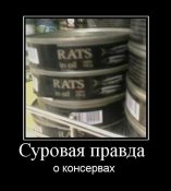 1257685709_81794_surovaya-pravda-.jpg
