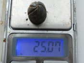 RSCN9616.JPG