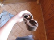 IMG_0849.JPG