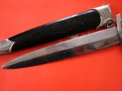00004_dague-allemande-SA-NSKK.JPG