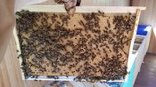20180519_151955.jpg