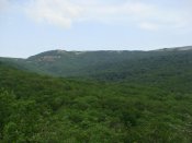 DSC01392.jpg