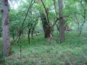 DSC01389.jpg