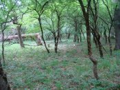 DSC01388.jpg