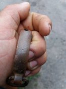 Гайна з ножен шашки клеймо (М) + бонус