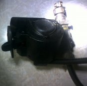 IMG00159.jpg