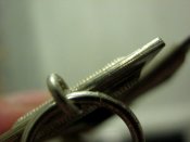 IMG_3367.JPG