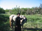 IMG_3185.jpg