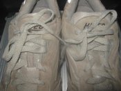 IMG_8785.JPG