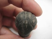 IMG_1934_thumb.jpg