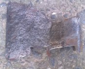 IMAG3547-1.jpg