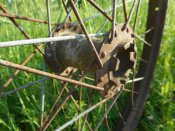 DSCN5174.JPG