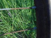 DSCN5179.JPG