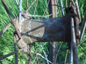 DSCN5180.JPG