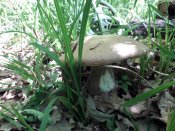 20180527_122935.jpg