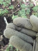 20180527_140333.jpg