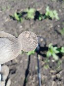 20180527_163555.jpg