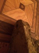 CB5D2D82-81CE-4E07-8748-A910E408D6A0.jpeg