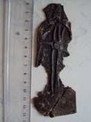 DSC01174.JPG