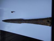 DSC01065.JPG
