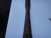 DSC01067.JPG