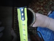 DSC01071.JPG