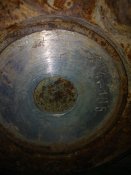 Часть птицы или же часть пропеллера.