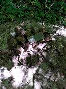 IMG_20180528_115142.jpg