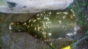 20180526_164926.jpg