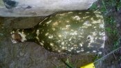 20180526_164937.jpg