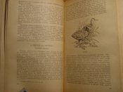 Записки ружейного охотника Аксаков 1953г