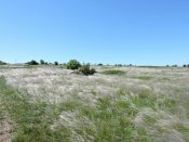 DSCN5420.JPG