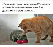 A00D91EE-3F6F-453B-9062-DC45A87E0DEB.jpeg