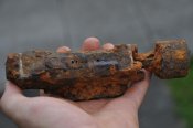 DSC_5266.jpg