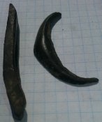 20180531_144511.jpg