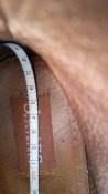 20180531_151252.jpg
