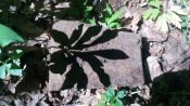 IMG_20180531_103842.jpg