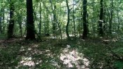 IMG_20180531_161631.jpg