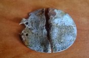 WP_20180531_009.jpg