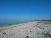 IMG_20170711_072756.jpg