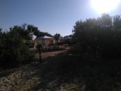 IMG_20170711_073450.jpg