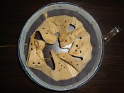 DSC01249.JPG
