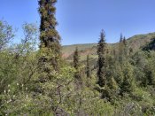 IMG_20180602_102416_HDR.jpg